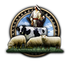 GFX_focus_CHL_focus_on_cattle_and_wool